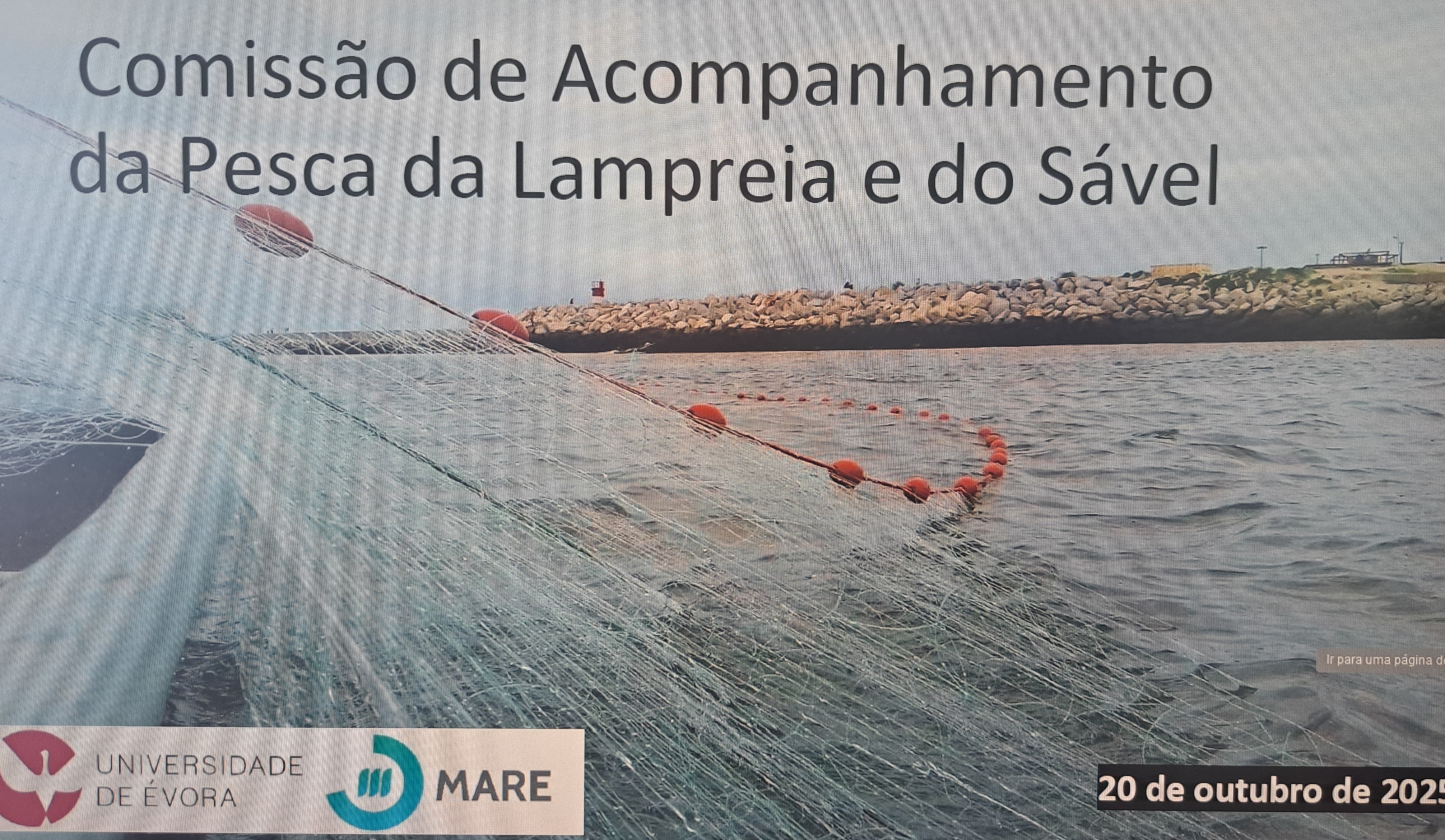  Comissão de Acompanhamento da Pesca de Lampreia e Sável 