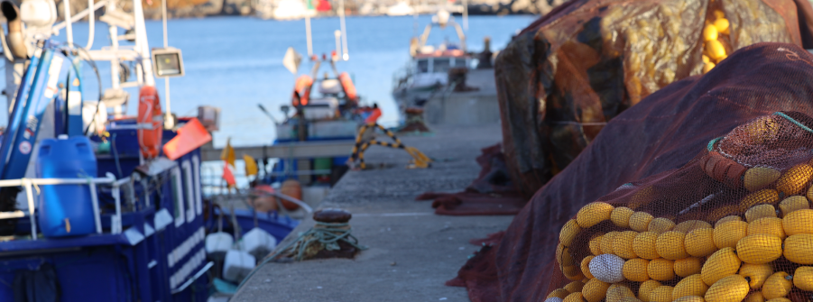  Portugal garante aumentos de quotas de pesca no Conselho Agrifish para 2026 