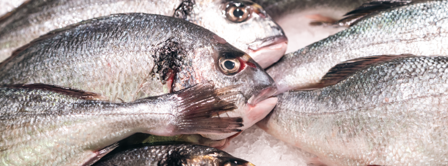 Mercados de Proximidade e Venda Direta de Pescado 