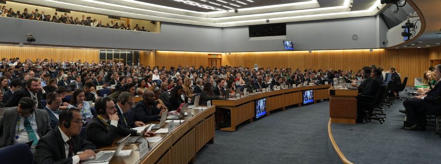  MEPC 84 da IMO reforça agenda global de descarbonização e proteção ambiental marítima 