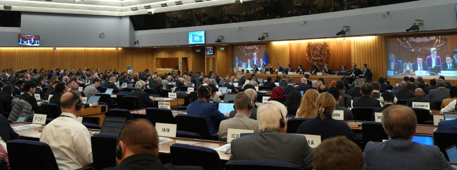  DGRM na 111.ª Sessão do Comité de Segurança da IMO 