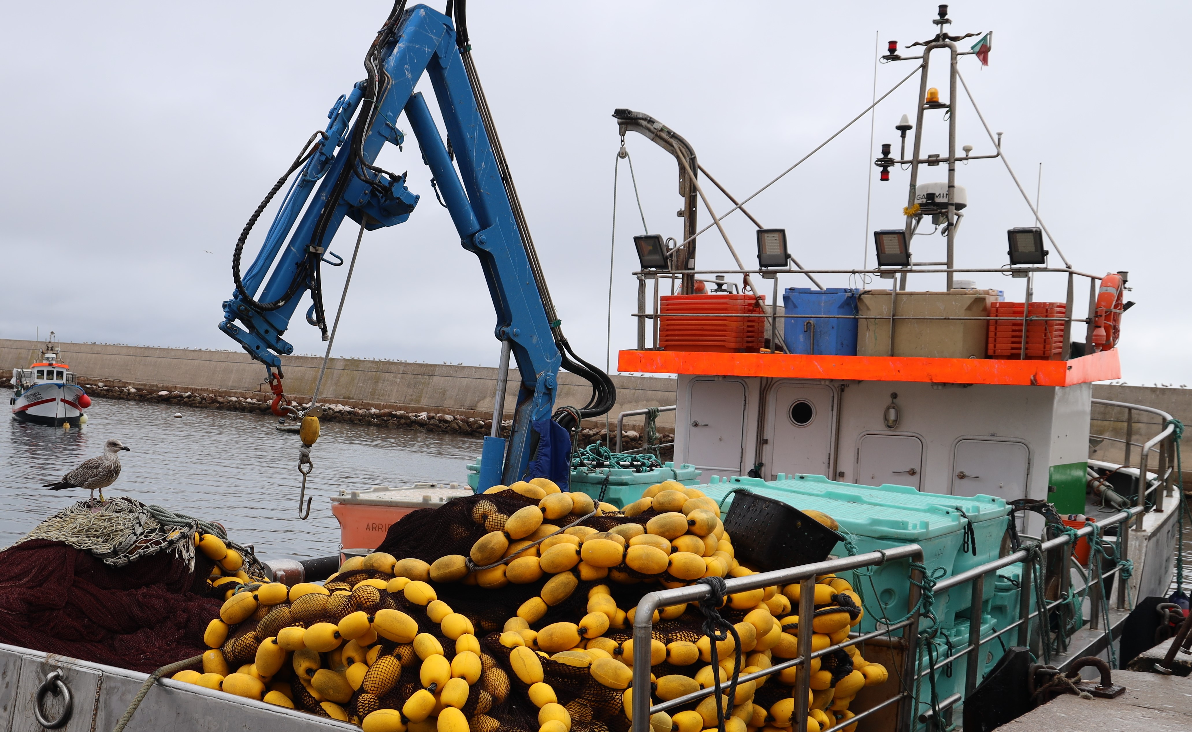  Consulta sobre projeto de Portaria que estabelece defesos aplicáveis à pesca na costa continental 