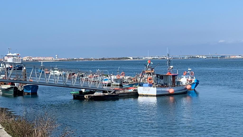  Defeso da pesca de bivalves na Ria de Aveiro - 2024 